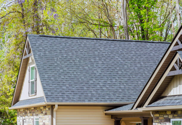 Best Skylights  in Poquott, NY